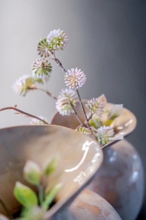 Eikenhouten Keuken Halsteren | Schelde Keukens